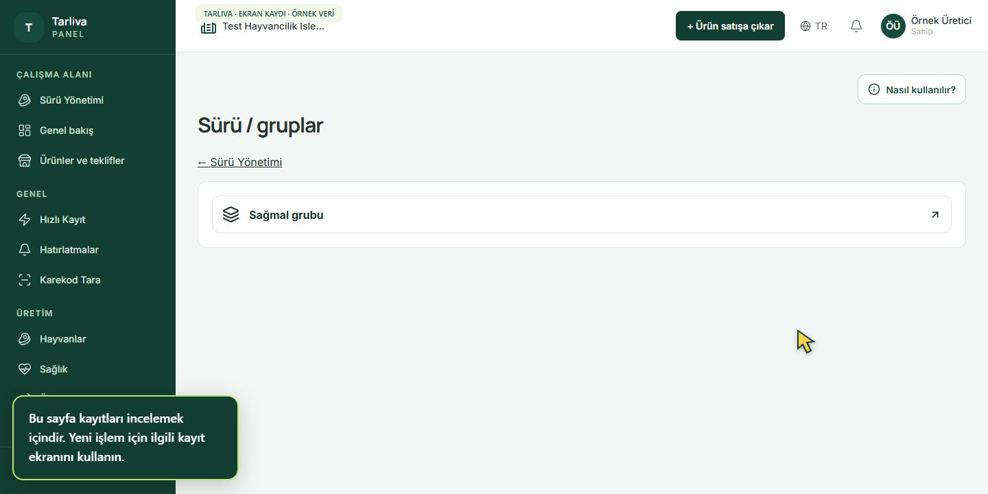 Sürü grupları ekranı